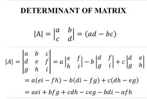 Matrices and determinants